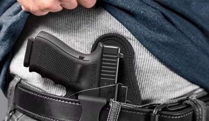 Novas Regras/ Possibilidade  acesso a armas de fogo ( porte )